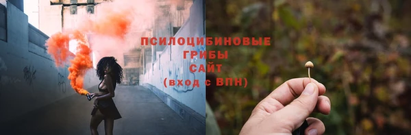 сатива Володарск