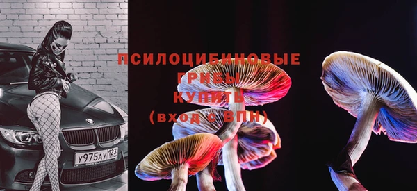 скорость Волосово